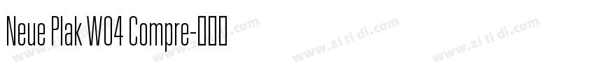 Neue Plak W04 Compre字体转换